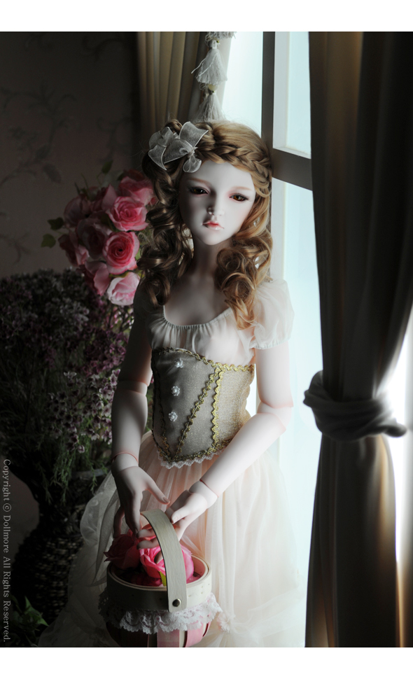 dollmore bjd