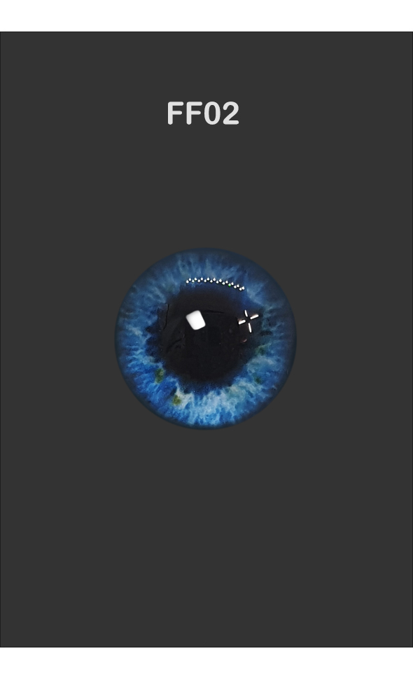 ǰ̹