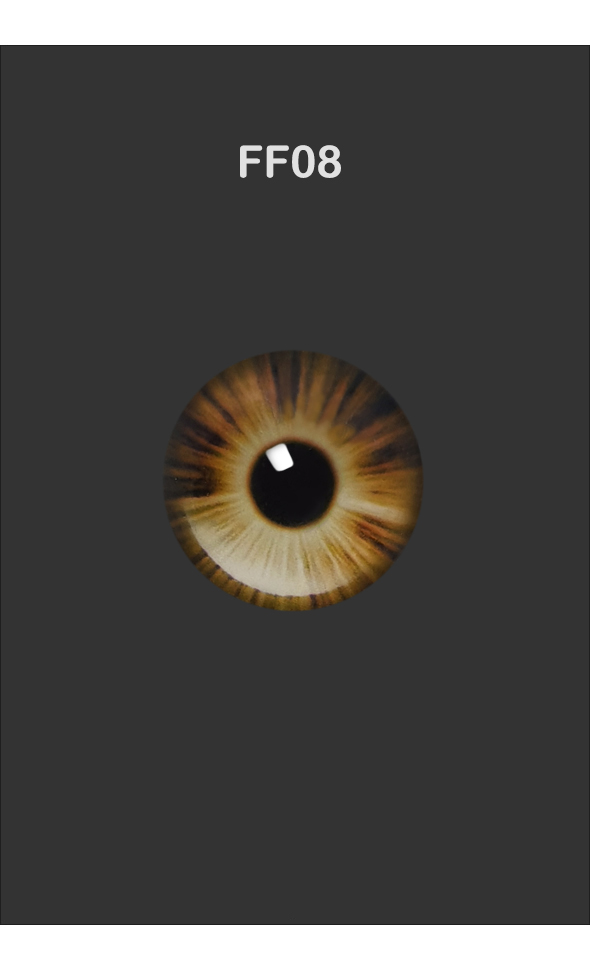 ǰ̹